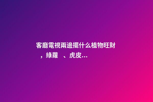 客廳電視兩邊擺什么植物旺財，綠蘿、虎皮蘭、發財樹
